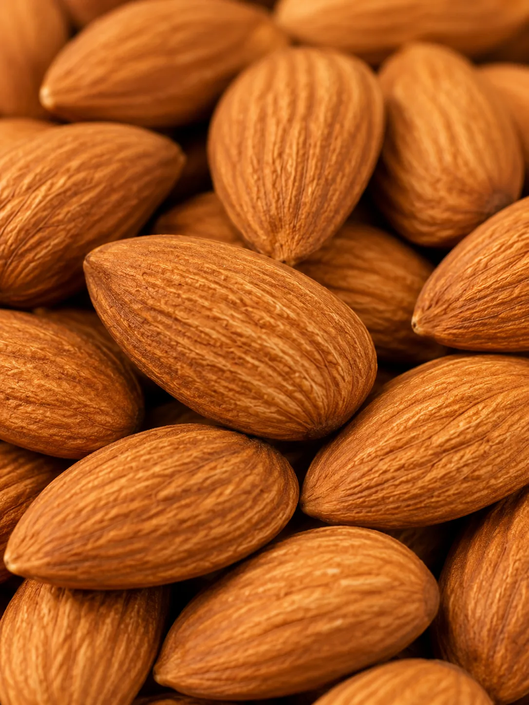 Premium Dry Fruits
