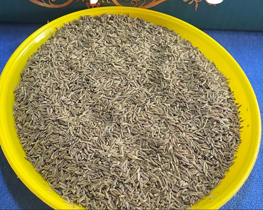 Saiyam SHAHJEERA